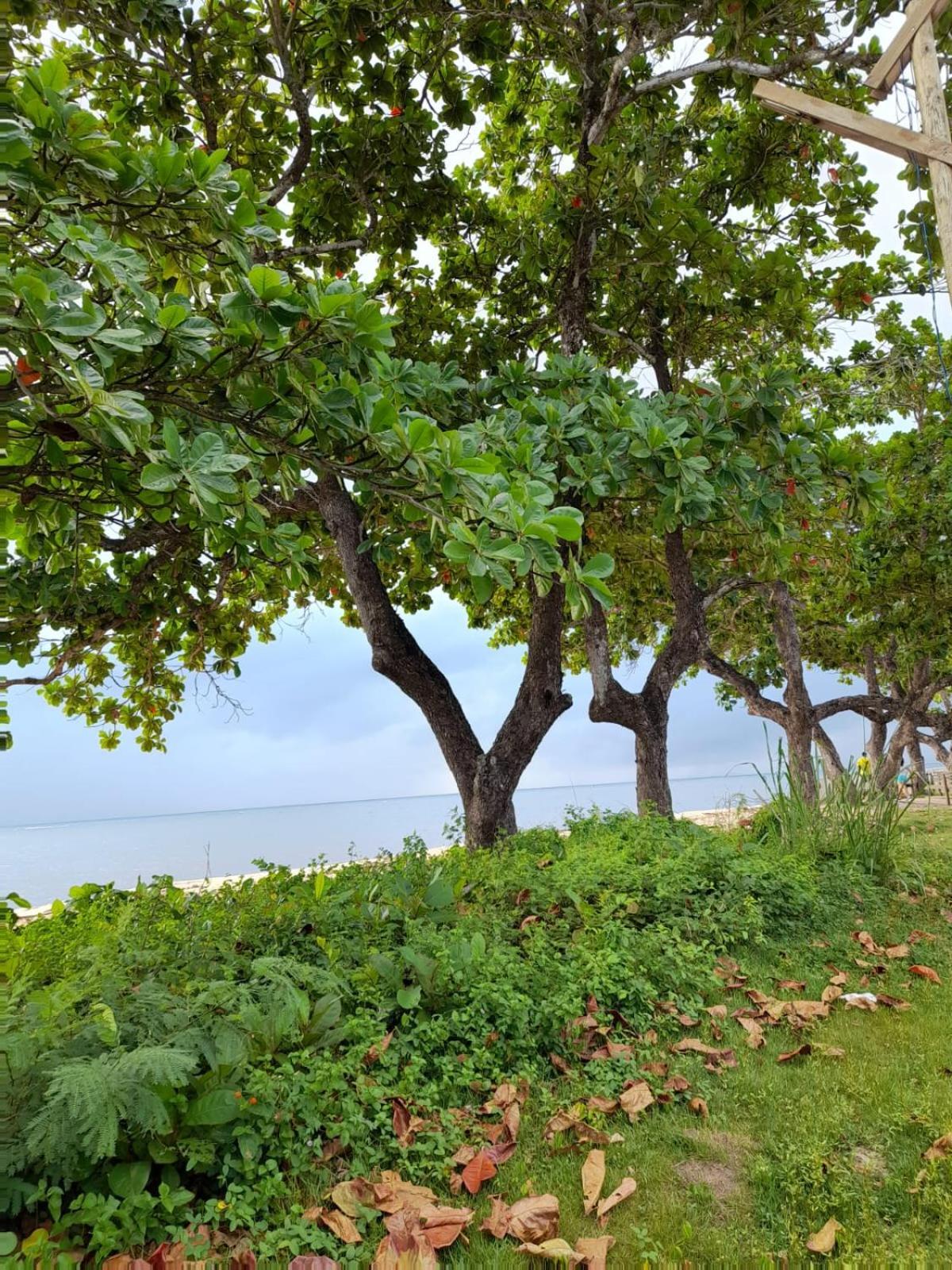 Nata Hospeda Miquarto Porto Seguro